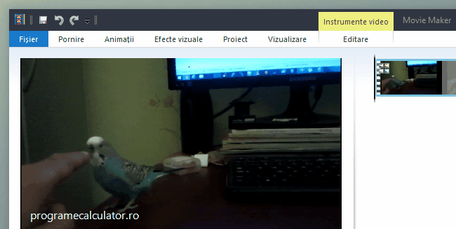 filtre-si-efecte-vizuale-movie-maker