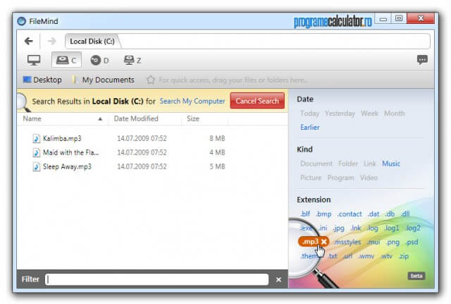 FileMind: Filtrare după extensie