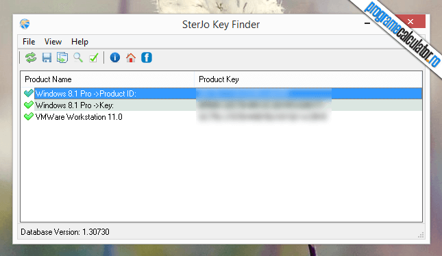 SterJo Key Finder : program recuperarea licentelor